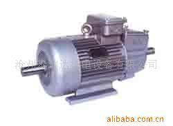 滄州泰瑞達機電設備 特殊電機產(chǎn)品列表